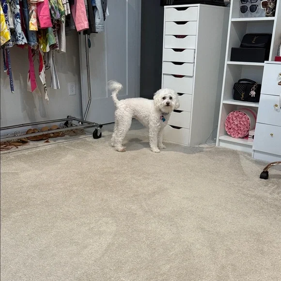 Emerald Green Ralph Lauren  Earrings and free unbranded pendant - Picture 5 of 5